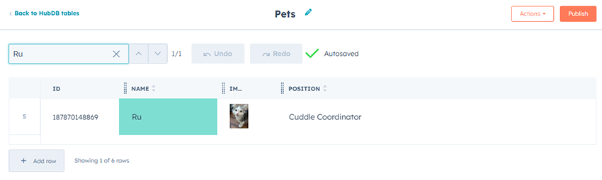 A screenshot of the HubDB table titled Pets showing the search functionality.