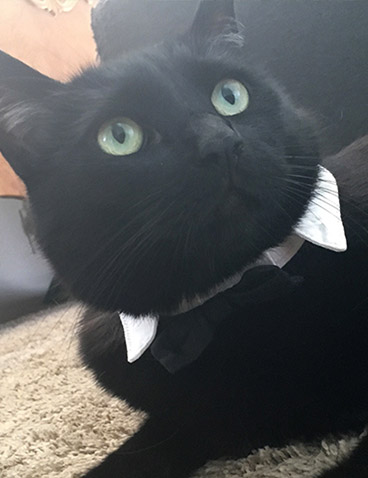 jeremy