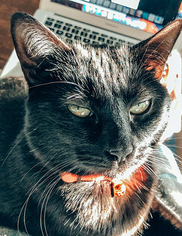tabitha